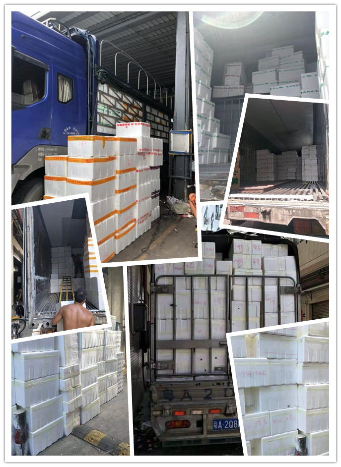 XPJ(中国大陆)有限公司官网