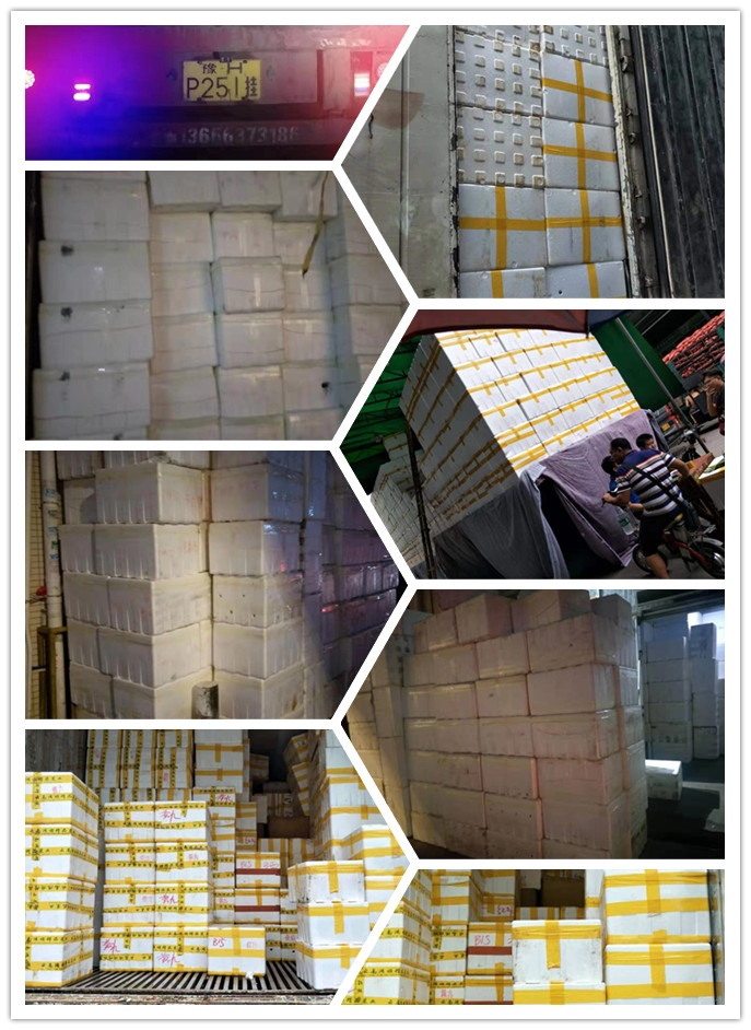 XPJ(中国大陆)有限公司官网