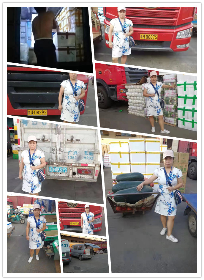 XPJ(中国大陆)有限公司官网