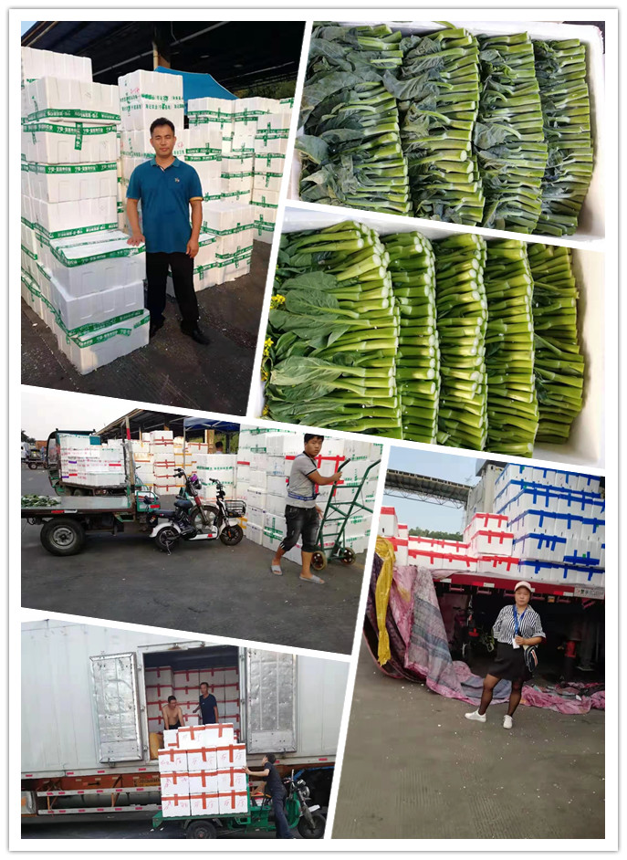 XPJ(中国大陆)有限公司官网