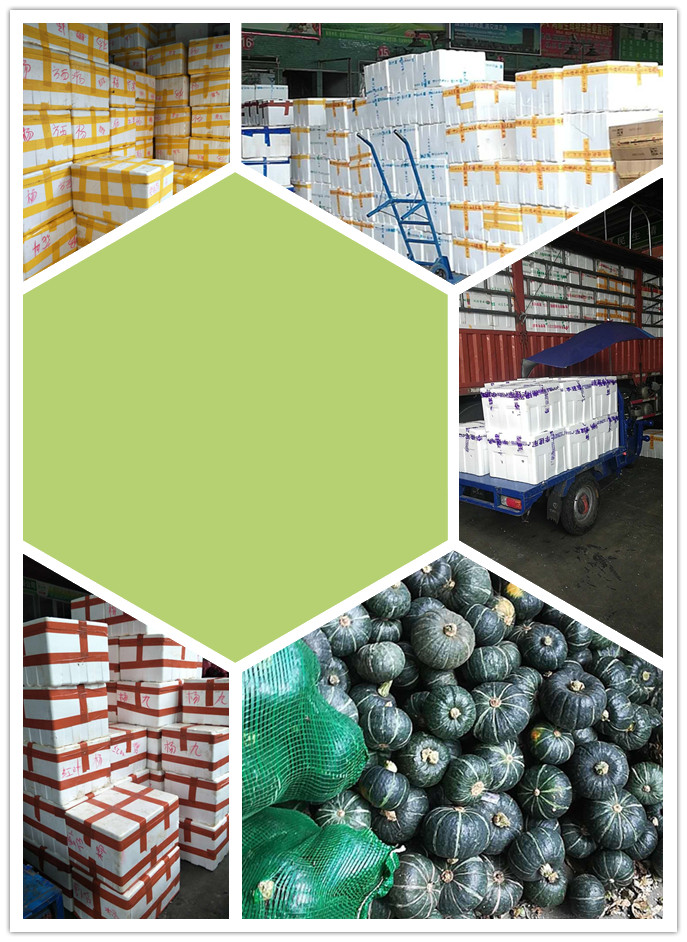 XPJ(中国大陆)有限公司官网