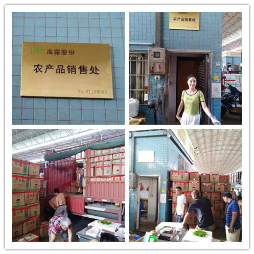 XPJ(中国大陆)有限公司官网