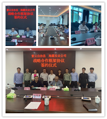 XPJ(中国大陆)有限公司官网