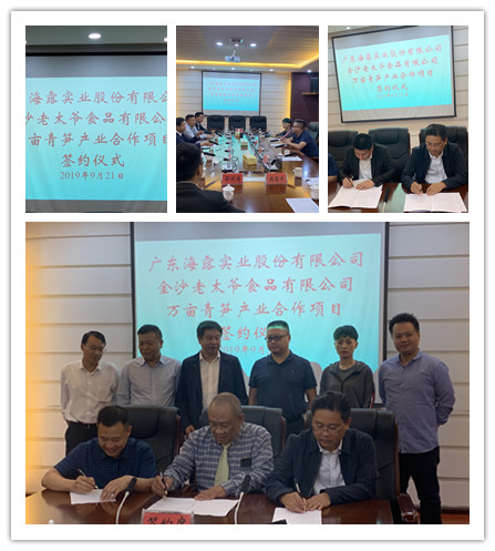 XPJ(中国大陆)有限公司官网