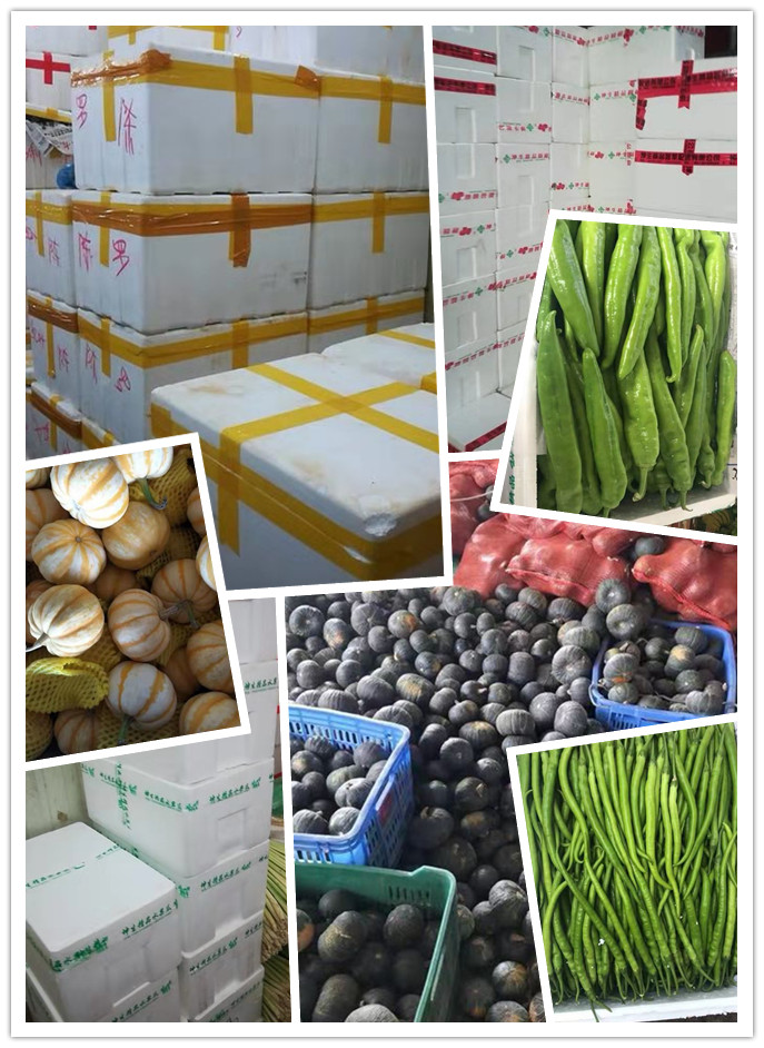 XPJ(中国大陆)有限公司官网