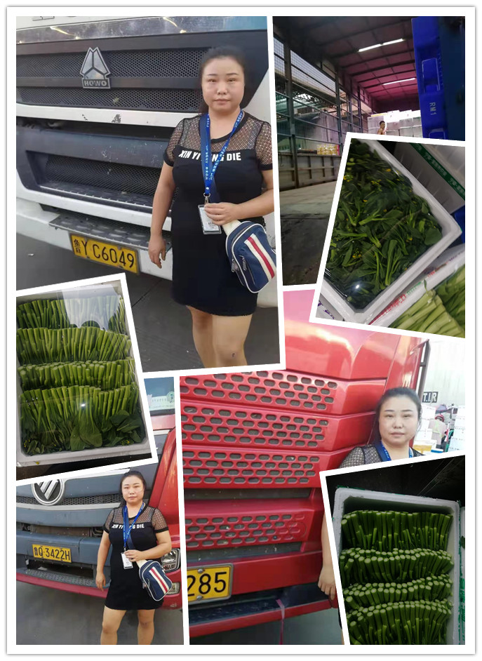 XPJ(中国大陆)有限公司官网