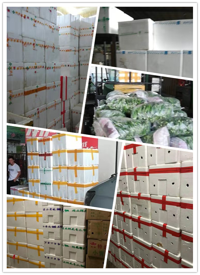 XPJ(中国大陆)有限公司官网