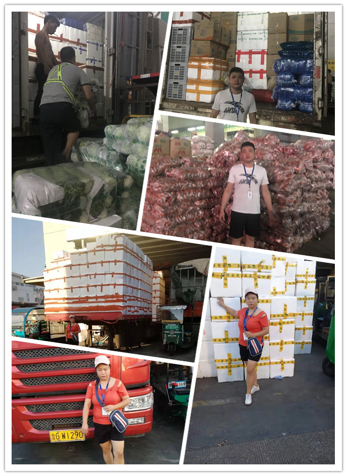 XPJ(中国大陆)有限公司官网