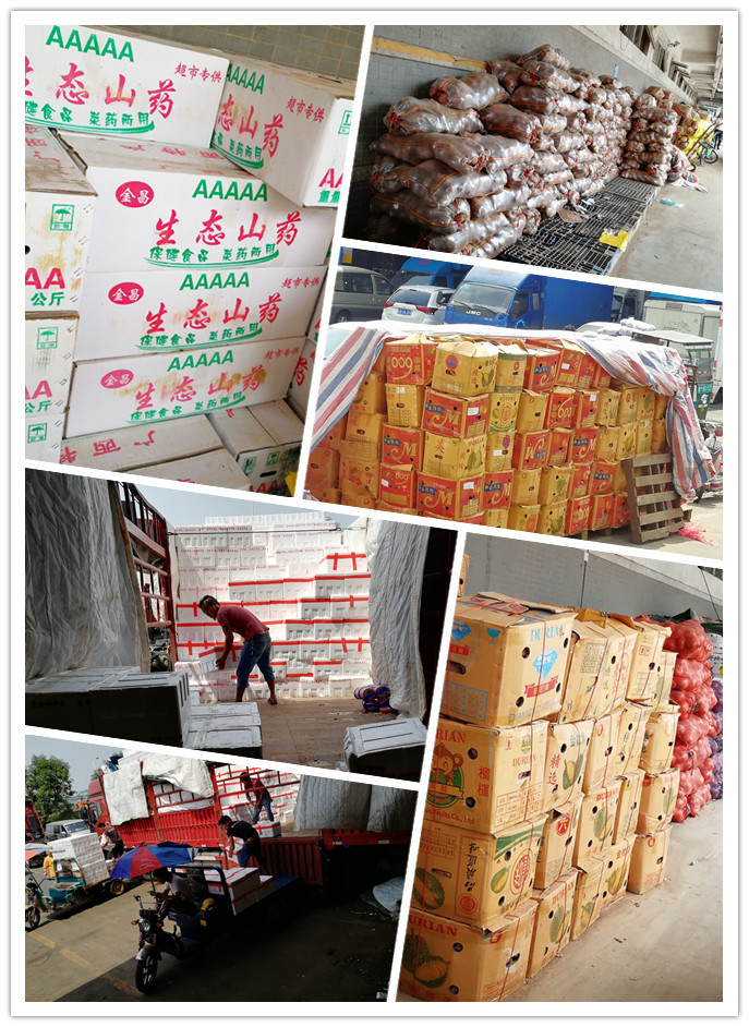 XPJ(中国大陆)有限公司官网