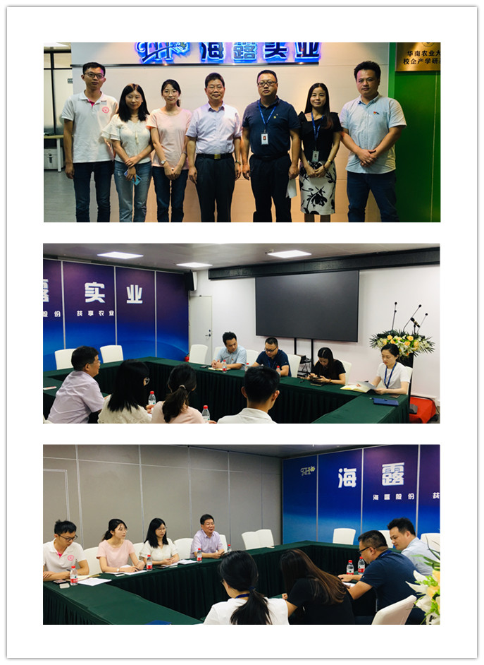 XPJ(中国大陆)有限公司官网