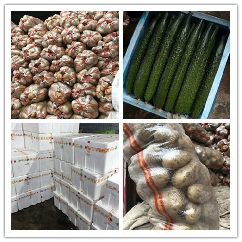 XPJ(中国大陆)有限公司官网