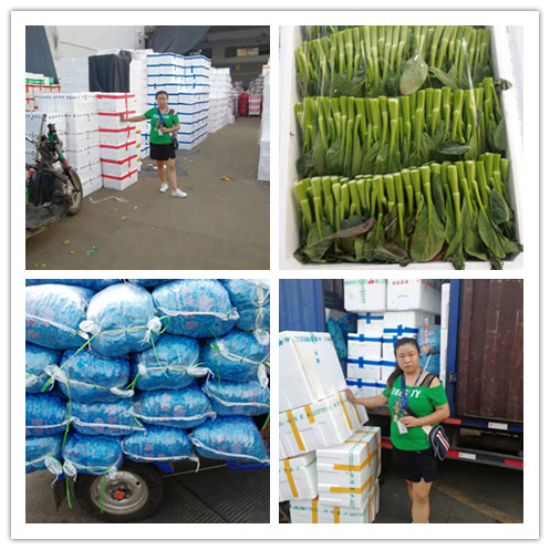 XPJ(中国大陆)有限公司官网