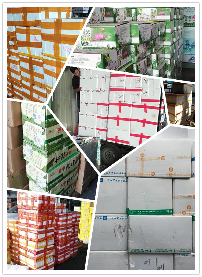 XPJ(中国大陆)有限公司官网