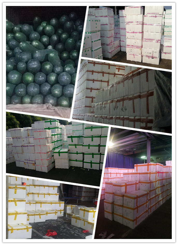 XPJ(中国大陆)有限公司官网