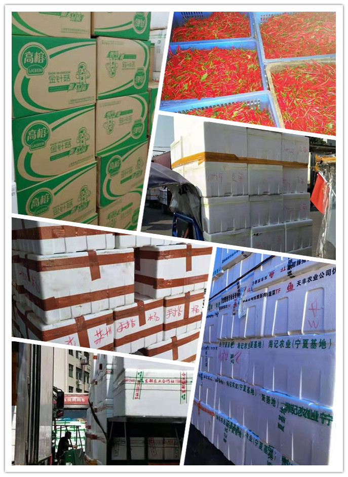 XPJ(中国大陆)有限公司官网