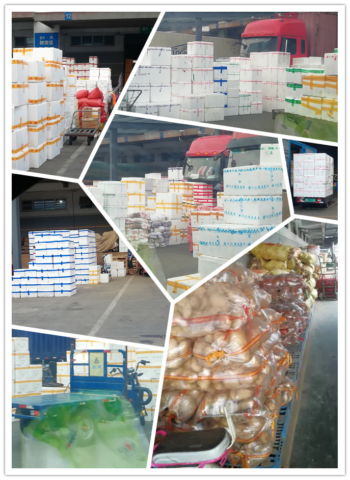 XPJ(中国大陆)有限公司官网