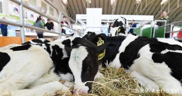 XPJ(中国大陆)有限公司官网