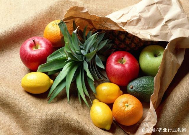 XPJ(中国大陆)有限公司官网