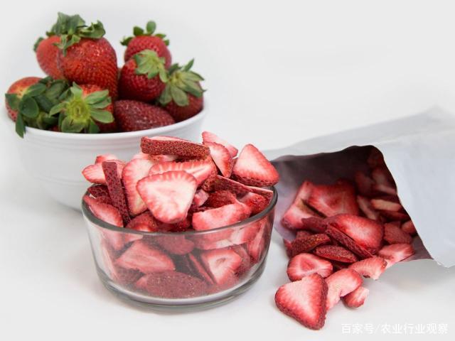 XPJ(中国大陆)有限公司官网