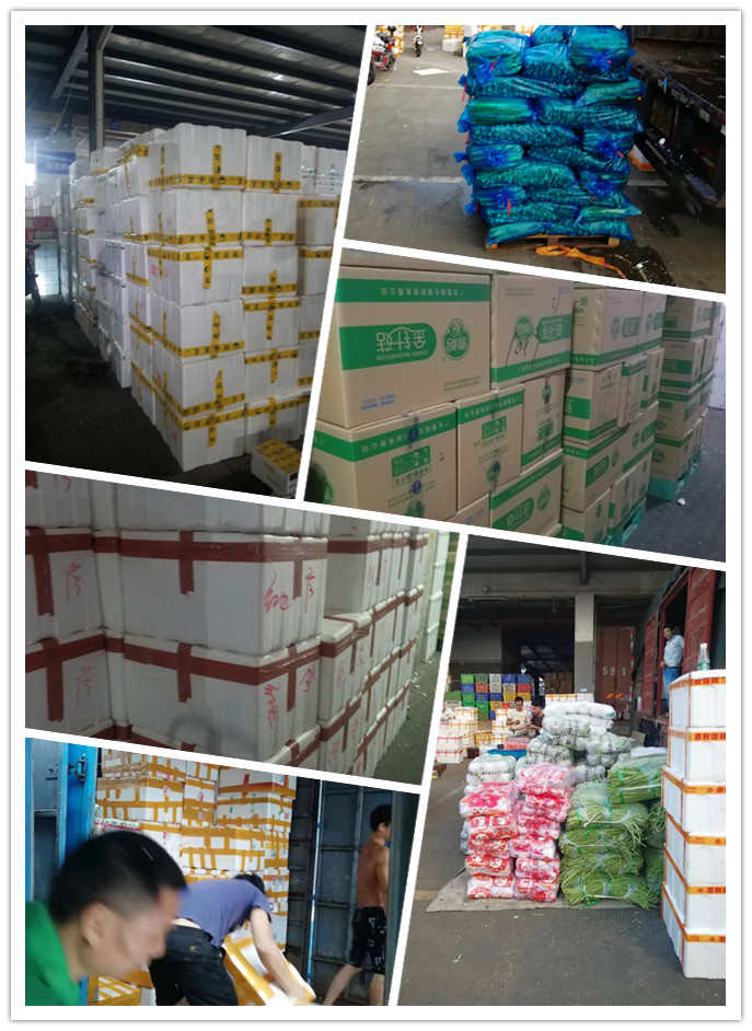 XPJ(中国大陆)有限公司官网