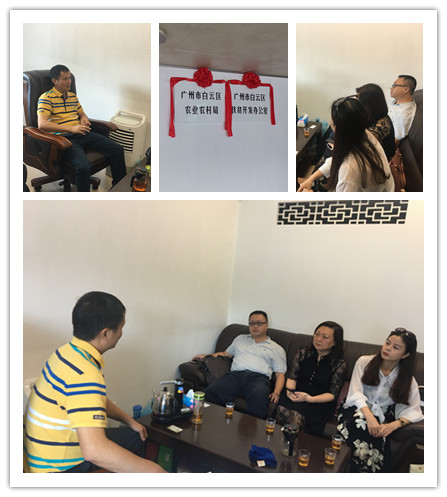 XPJ(中国大陆)有限公司官网