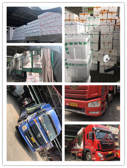 XPJ(中国大陆)有限公司官网