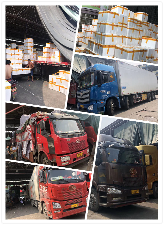 XPJ(中国大陆)有限公司官网