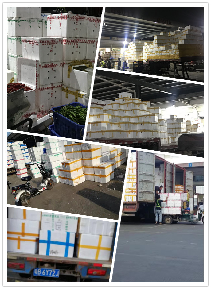 XPJ(中国大陆)有限公司官网