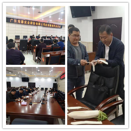 XPJ(中国大陆)有限公司官网