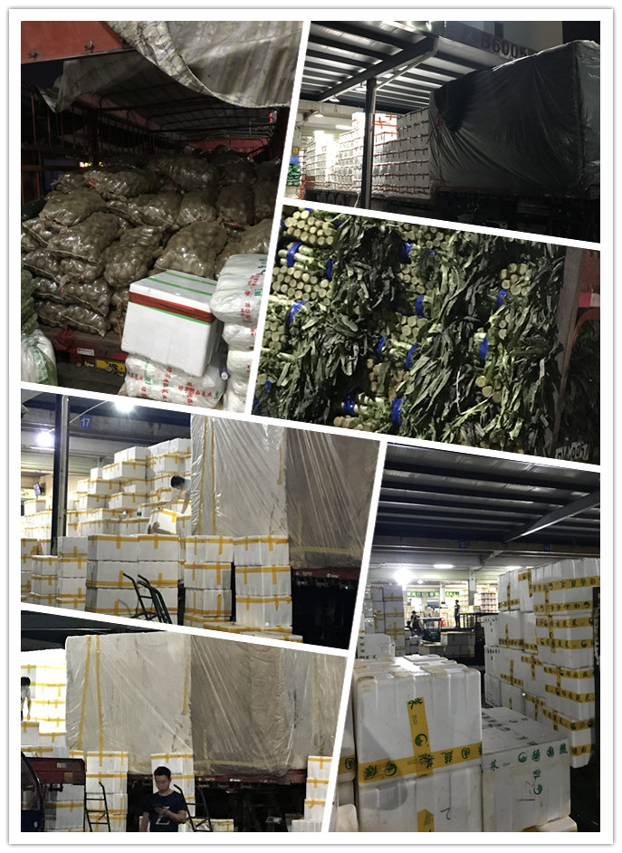 XPJ(中国大陆)有限公司官网