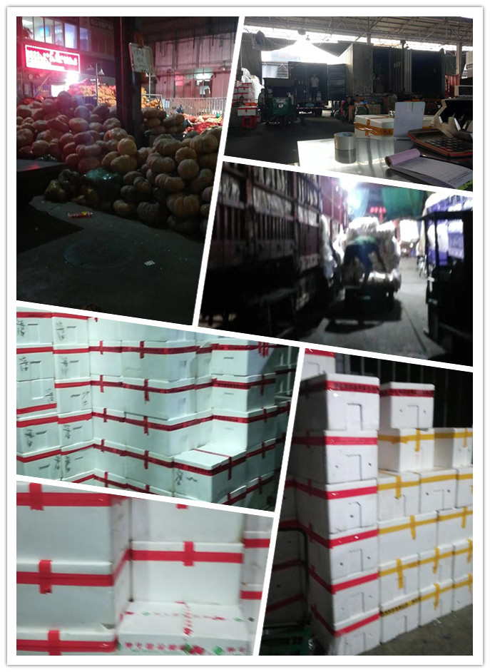 XPJ(中国大陆)有限公司官网