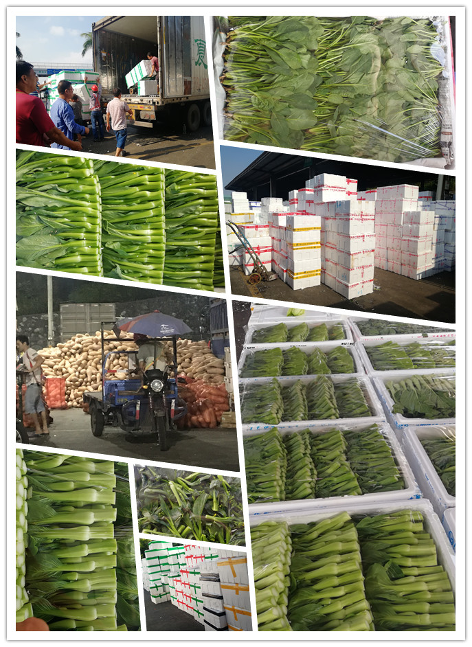 XPJ(中国大陆)有限公司官网