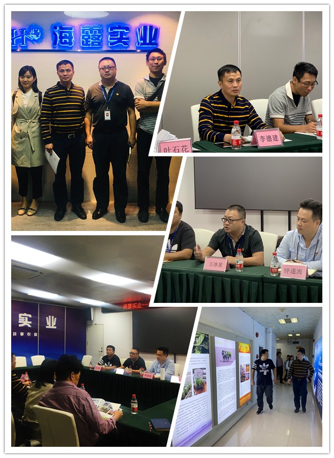 XPJ(中国大陆)有限公司官网