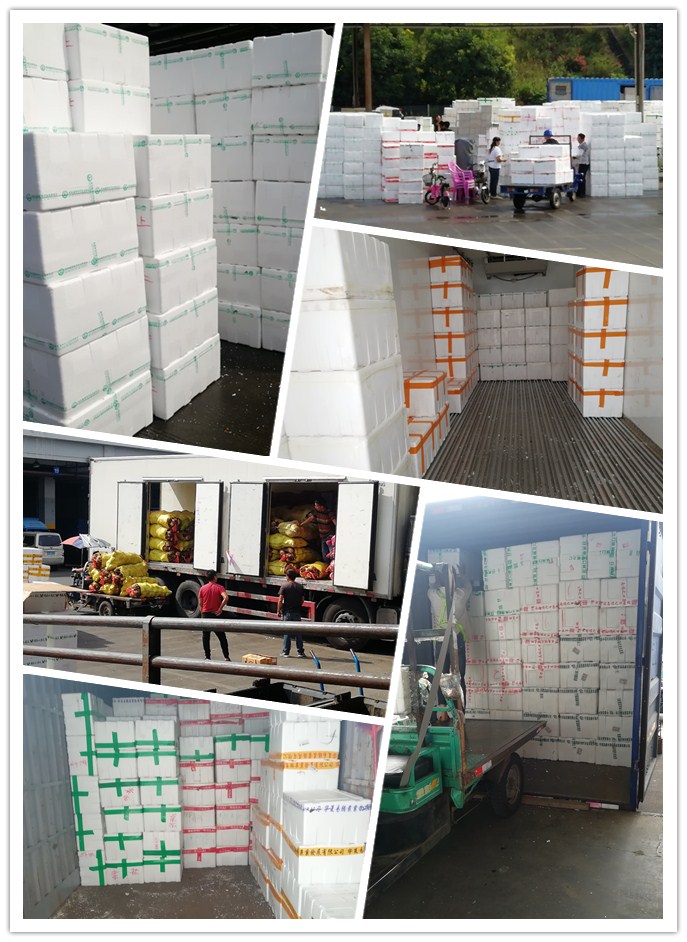 XPJ(中国大陆)有限公司官网