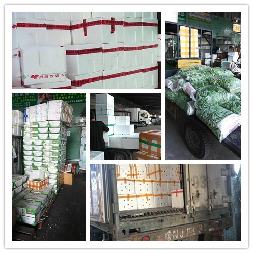 XPJ(中国大陆)有限公司官网