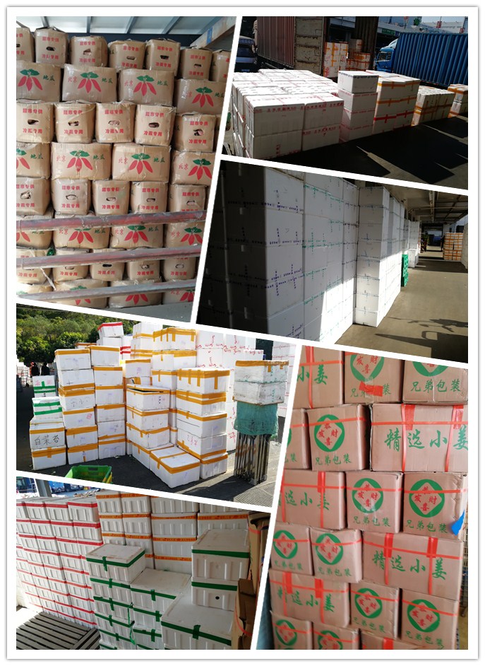 XPJ(中国大陆)有限公司官网