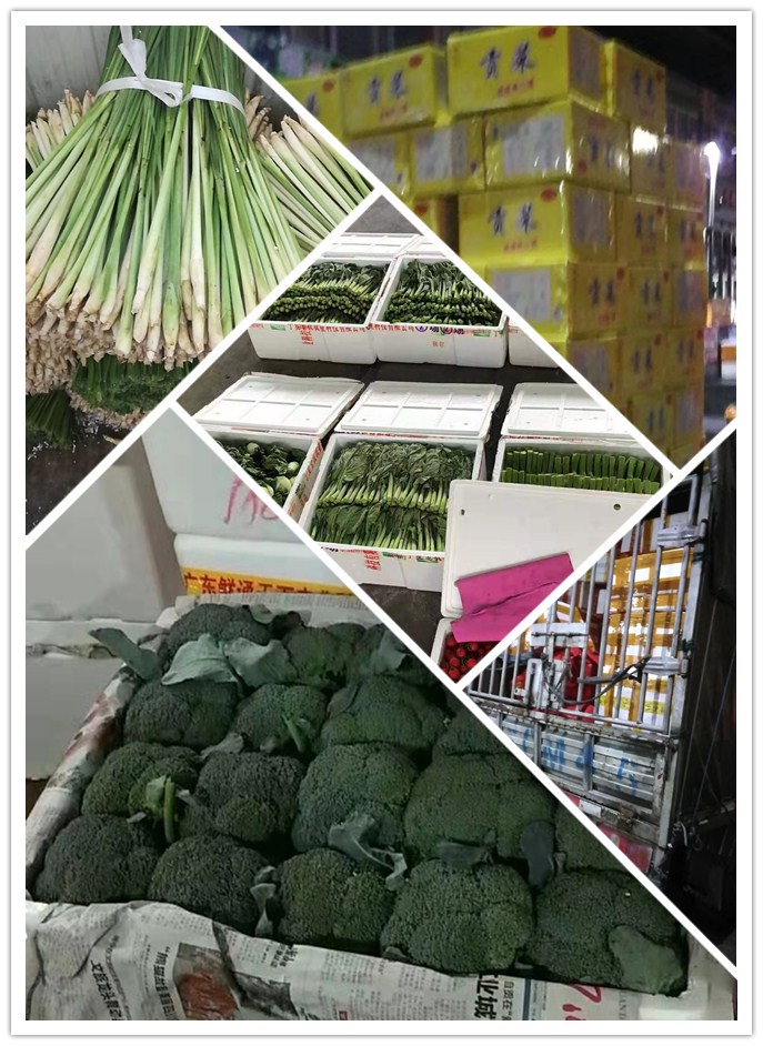 XPJ(中国大陆)有限公司官网