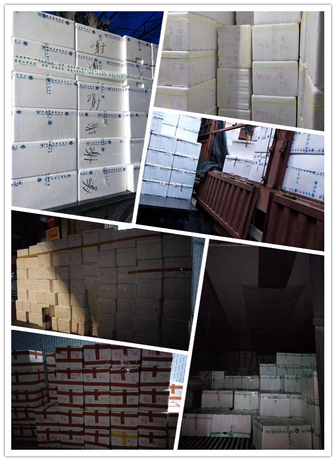 XPJ(中国大陆)有限公司官网