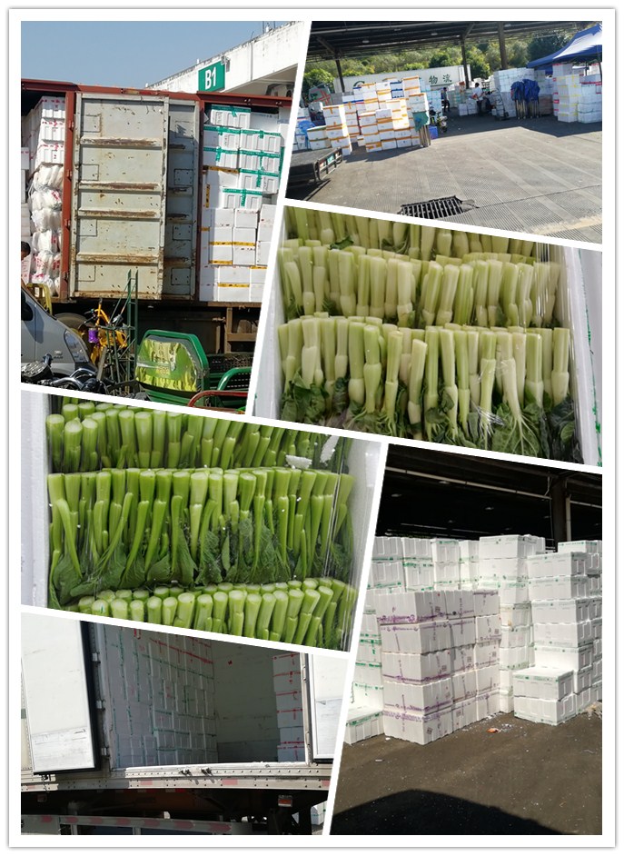 XPJ(中国大陆)有限公司官网