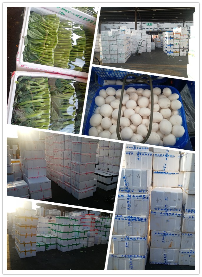 XPJ(中国大陆)有限公司官网