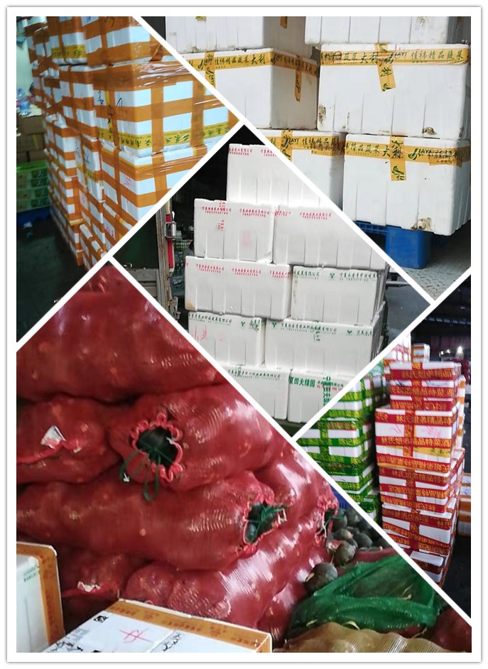 XPJ(中国大陆)有限公司官网