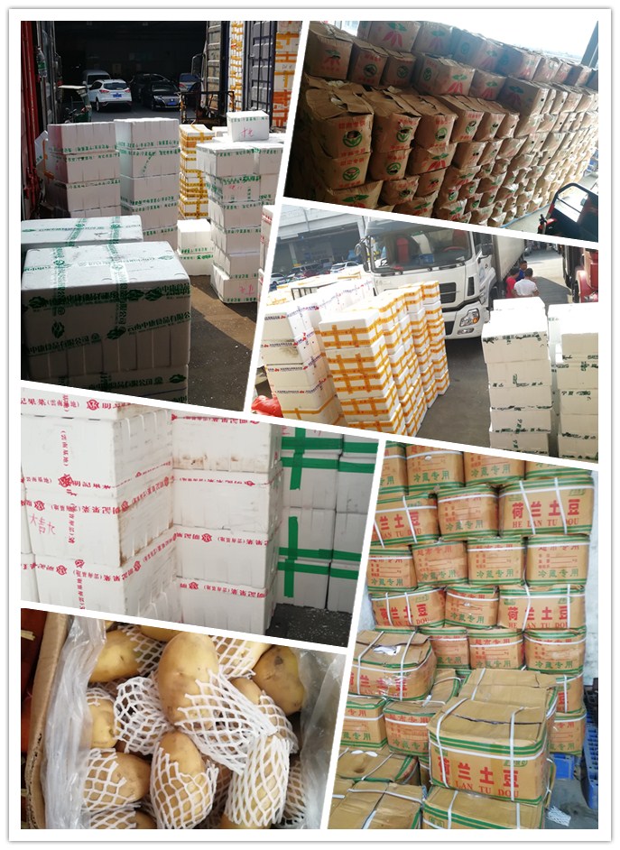 XPJ(中国大陆)有限公司官网