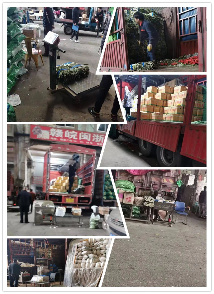 XPJ(中国大陆)有限公司官网