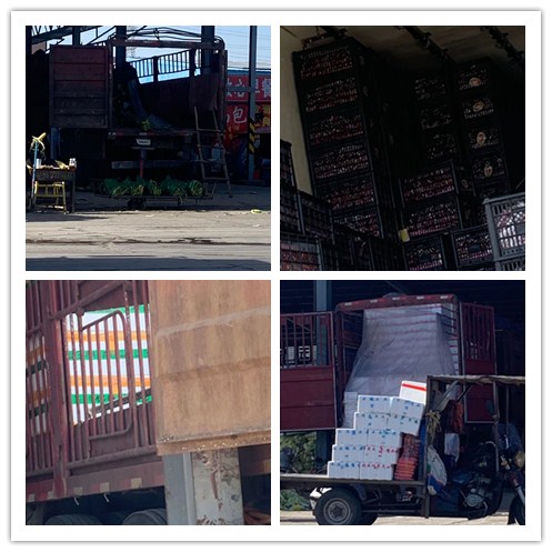 XPJ(中国大陆)有限公司官网