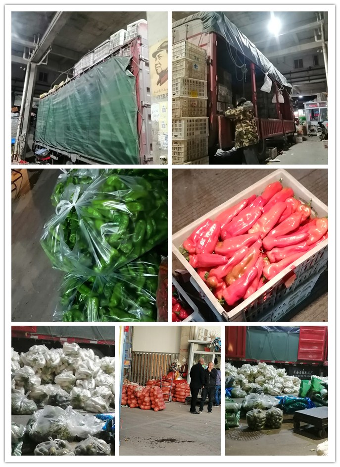 XPJ(中国大陆)有限公司官网