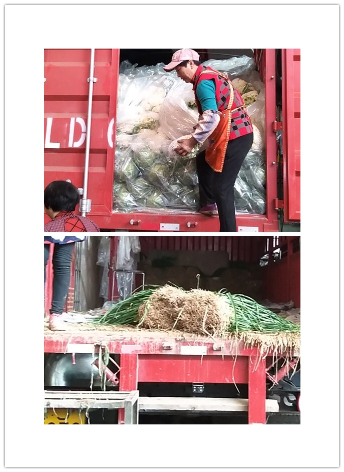 XPJ(中国大陆)有限公司官网