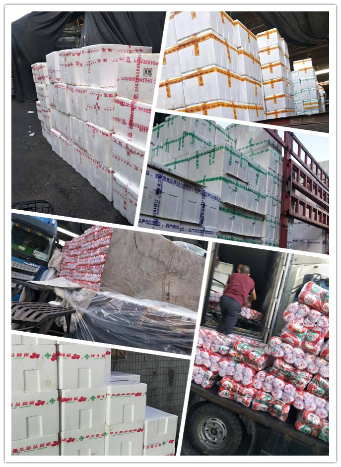 XPJ(中国大陆)有限公司官网