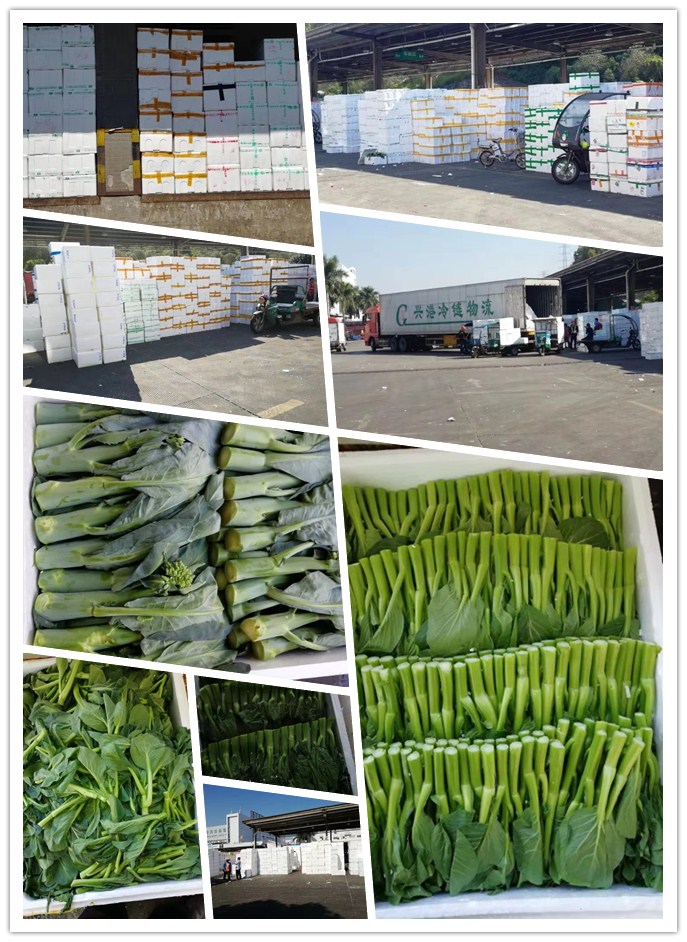 XPJ(中国大陆)有限公司官网