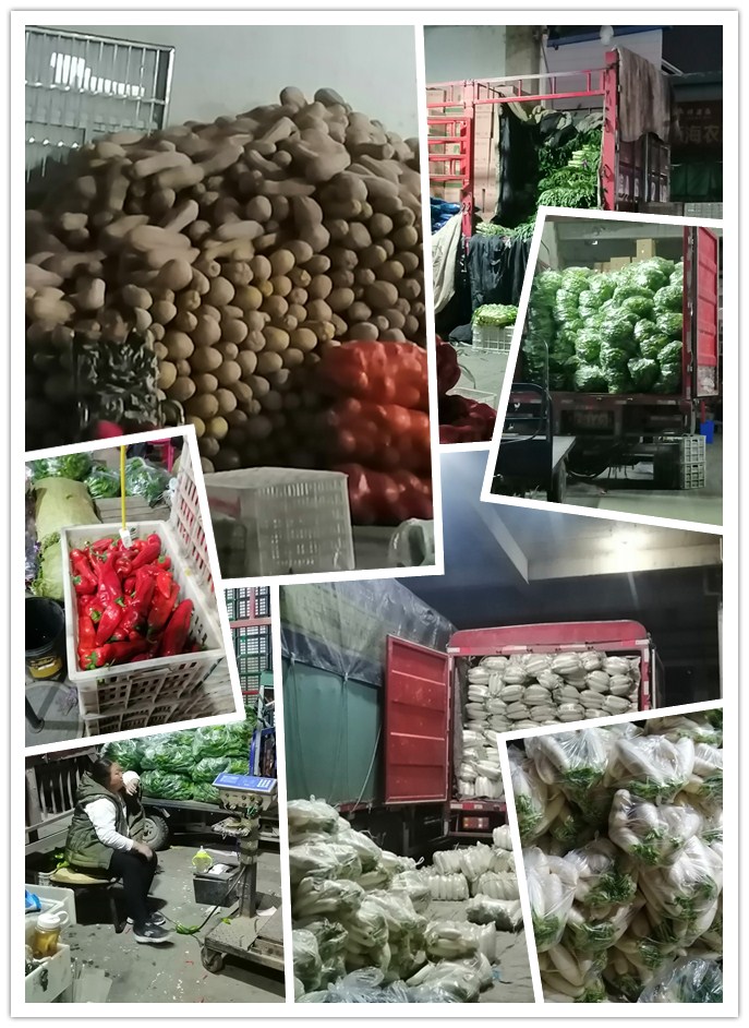 XPJ(中国大陆)有限公司官网