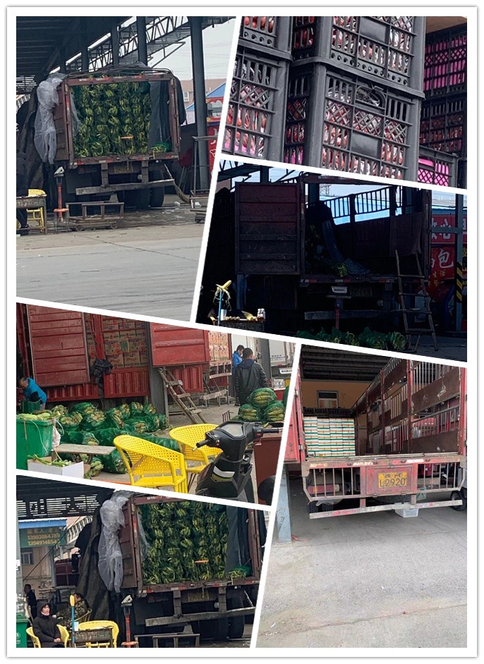 XPJ(中国大陆)有限公司官网